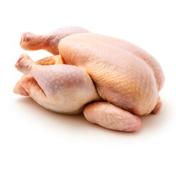 Poulet de chair frais 1.6kg-1.8Kg - Kingvolaille.ci