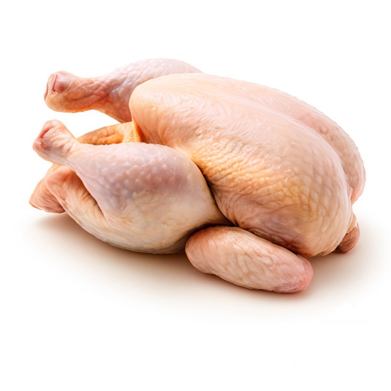 Poulet de chair frais 1.6kg-1.8Kg - Kingvolaille.ci
