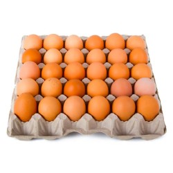 Œufs de poulet - Kingvolaille.ci