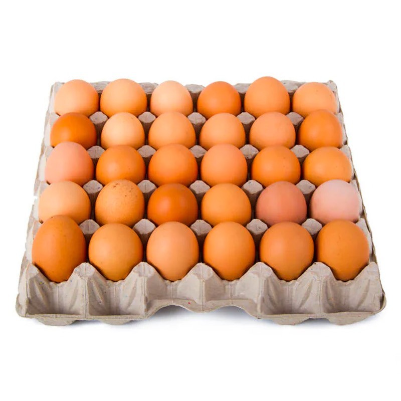 Œufs de poulet - Kingvolaille.ci