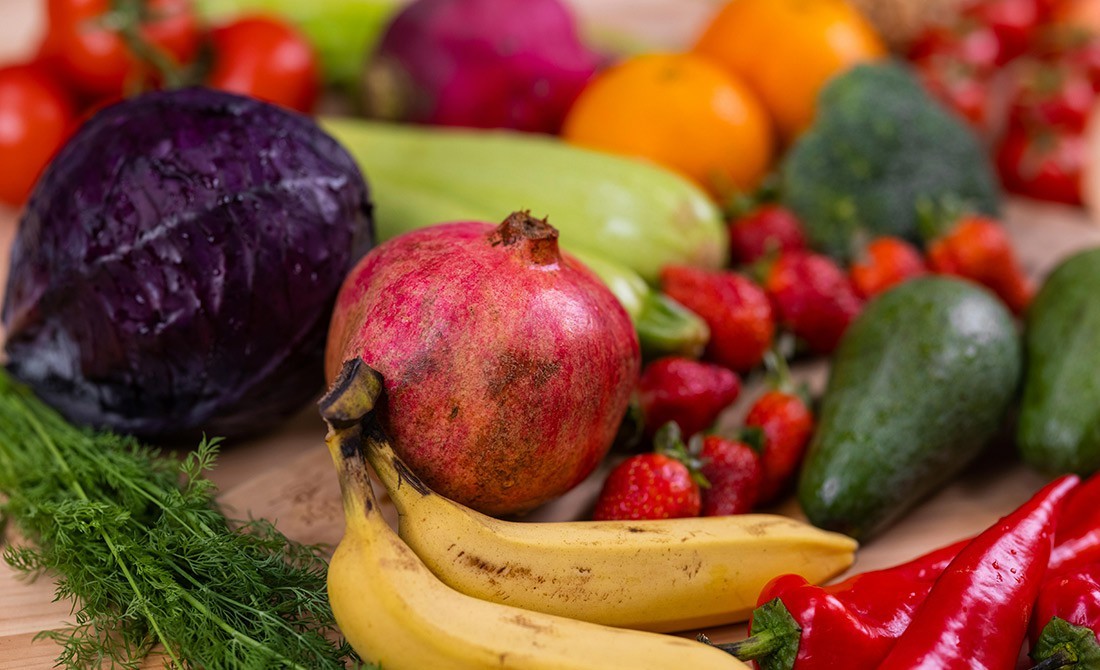 Urna pretium elit mauris cursus Curabitur at elit Vestibulum